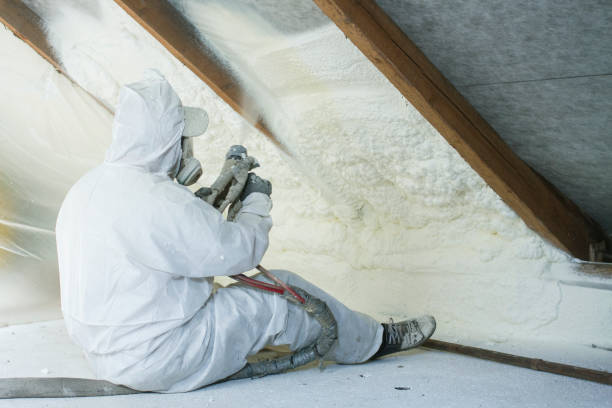 Best Insulation Air Sealing  in USA